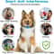 USB Rechargeable Ultrasonic Anti Bark Dog Training Collar For Small Medium Dogs 4