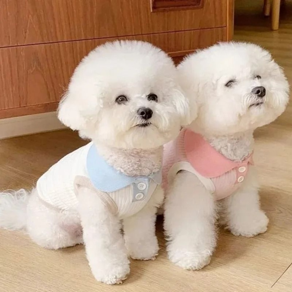 Breathable Summer Dog Shirt For Small Dogs Puppies 1