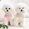 Breathable Summer Dog Shirt For Small Dogs Puppies 2