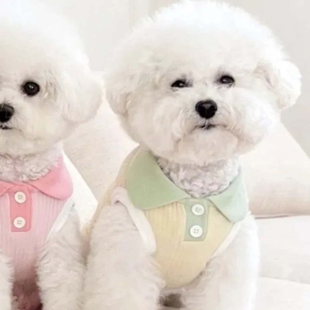 Breathable Summer Dog Shirt For Small Dogs Puppies 8