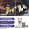 Pet Dental Care Gel Pen For Dogs Cats With Fresh Breath Formula 4