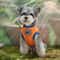 Goku Anime Pet Vest For Small Dogs Cats Summer Cartoon Shirt 3