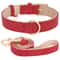 Soft PU Leather Dog Collar And Leash Set For Small Medium Dogs 12