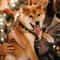 ColorCharm Adjustable Pet Bow Tie Set For Dogs Cats 3
