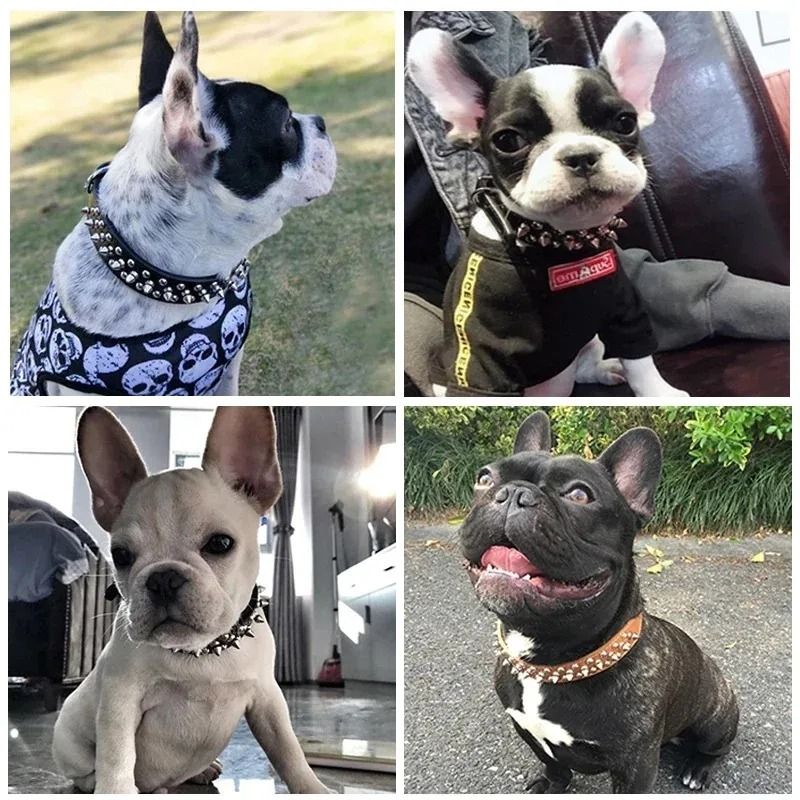 Adjustable Punk Rivet PU Leather Dog Collar For Small Dogs Cats 2
