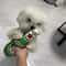 BarkBrew Squeaky Beer Bottle Plush Dog Toy 0