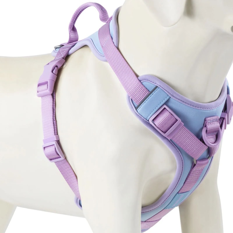 Luxury Chocolate NoPull Dog Harness With Adjustable Chest Strap 9