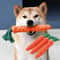 SnuggleQuack Calming Plush Duck Dog Toy 14