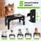 Adjustable Elevated Dog Feeder With Stainless Steel Food Water Bowls 1