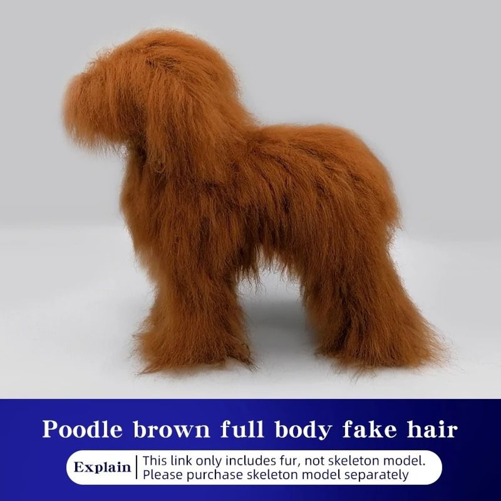ProGroom Full Body Poodle Grooming Practice Model 11