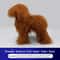 ProGroom Full Body Poodle Grooming Practice Model 11