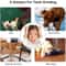 TreatBounce Interactive Dog Treat Dispensing Ball 5