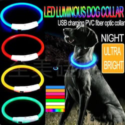 led glowing dog collar for night safety and visibility