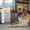 QuietGuard Rechargeable Ultrasonic Anti Bark Training Collar 2