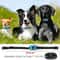 QuietGuard Rechargeable Ultrasonic Anti Bark Training Collar 4