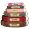 Personalized PU Leather Dog Collar With Engraved Nameplate 3