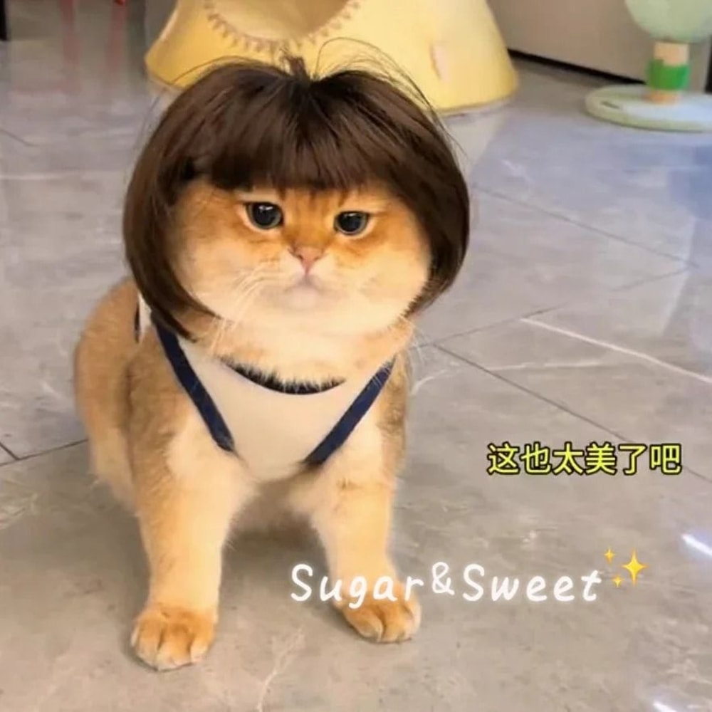 Funny Pet Wig With Bangs Braids For Dogs And Cats 1