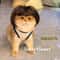 Funny Pet Wig With Bangs Braids For Dogs And Cats 1