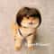 Funny Pet Wig With Bangs Braids For Dogs And Cats 2