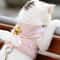 Angel Wings Kawaii Pet Harness Leash Set For Cats And Small Dogs 0