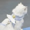 Angel Wings Kawaii Pet Harness Leash Set For Cats And Small Dogs 1