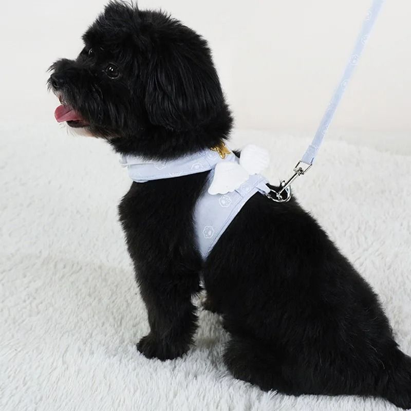 Angel Wings Kawaii Pet Harness Leash Set For Cats And Small Dogs 4