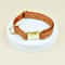 LovePaws DoubleSided Valentine Pet Collar For Dogs Cats 12