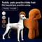 Professional Teddy Dog Grooming Practice Mannequin With Simulation Hair 0