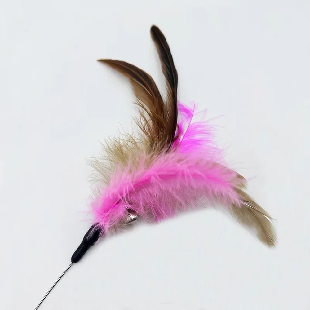 Self Play Feather Collar Cat Toy 4