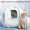 N50 Cat Litter Deodorizer Blocks For LongLasting Litter Box Odor Control 2