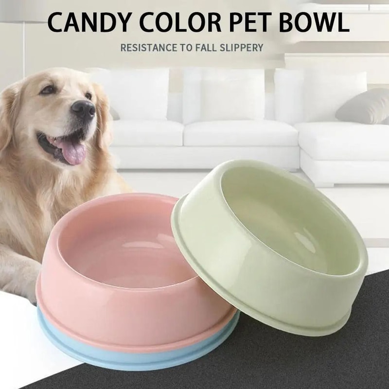 Candy Color Pet Bowl For Cats And Dogs 2