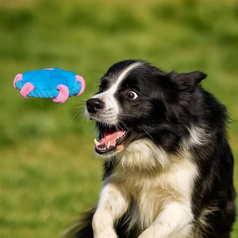 Durable Rope Fetch Dog Toy For Chewing Tug Play Teeth Cleaning 1