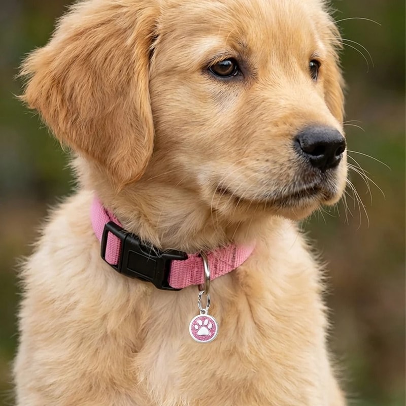 Personalized Glitter Paw Print Pet ID Tag 4