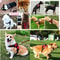 Adjustable Strong Dog Harness Vest For Small Medium Large Dogs 1