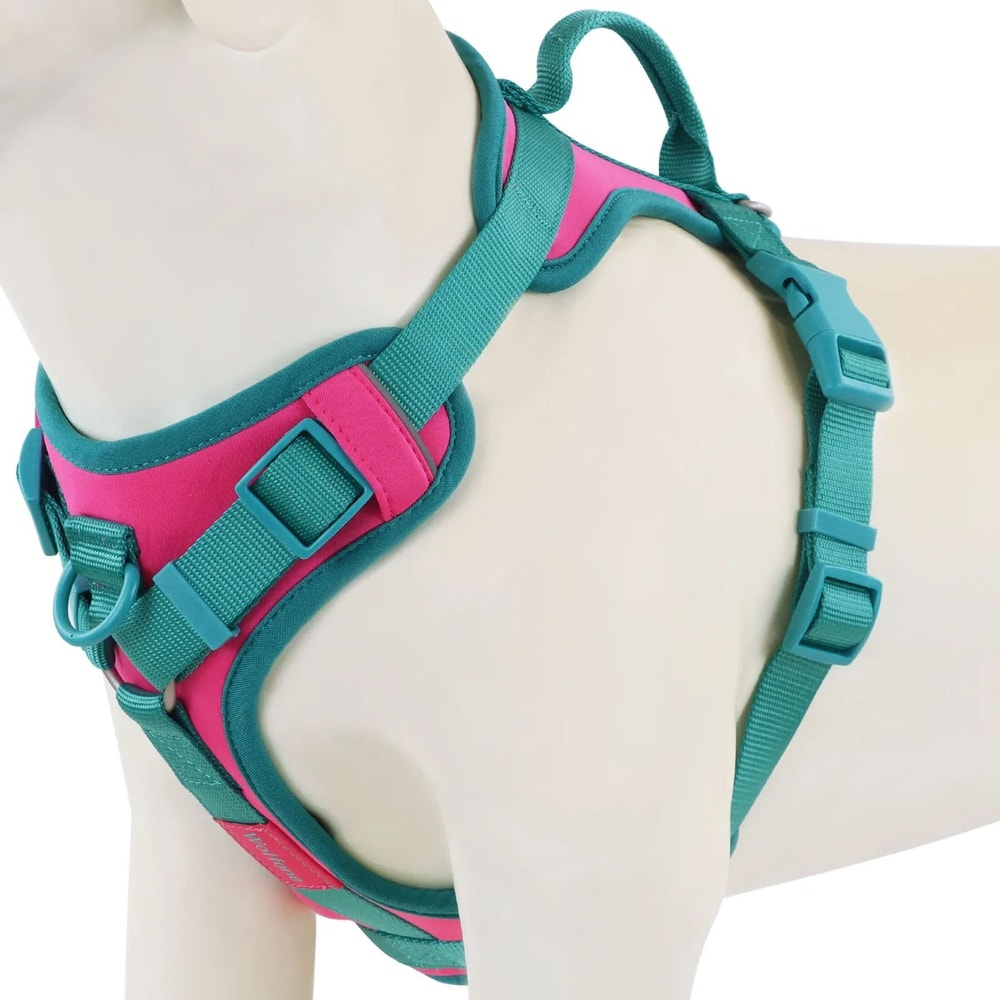 Personalized Breathable No Pull Dog Harness For Small Large Dogs 0