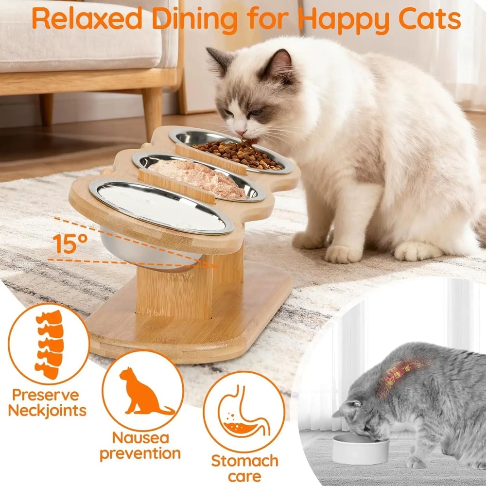 PawDining Elevated Cat Bowl Station With Wooden Stand And Stainless Steel Bowls 3