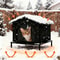 Insulated Outdoor Cat House With Cushion For Winter Warmth And Shelter 0