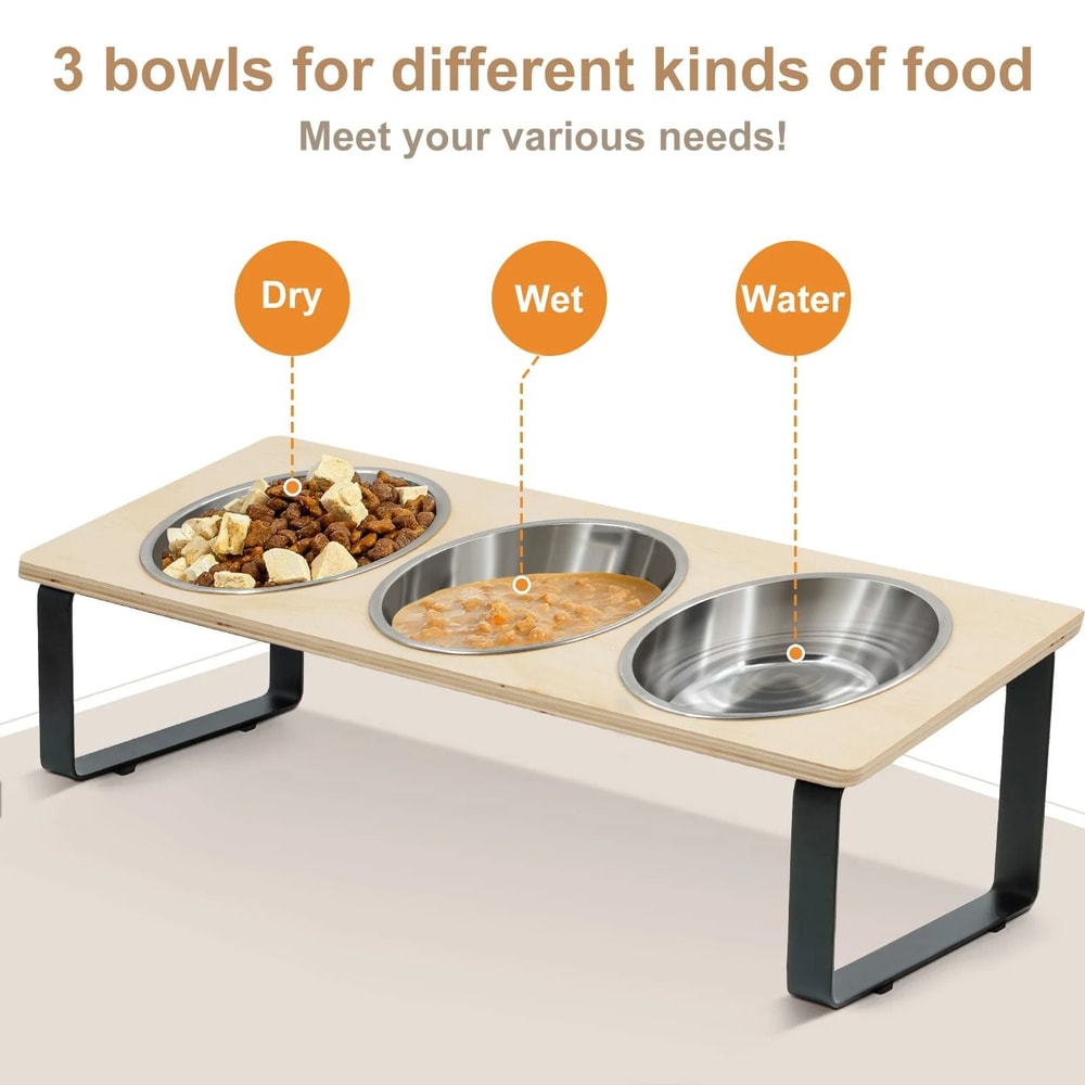 Elevated Tilted Cat Bowls With Stainless Steel Feeding Set For Cats And Small Dogs 3