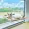UltraSoft Window Cat Hammock Bed For Cozy Sunbathing Naptime 7