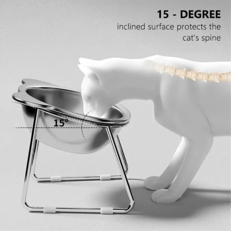 Elevated 15 Tilted Stainless Steel Cat Bowl For Comfortable Feeding 0