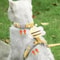 Adjustable NoPull Cat Small Dog Harness Leash Set 2
