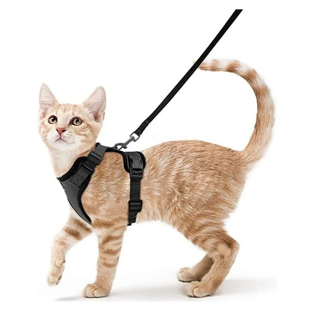 Escape Proof Adjustable Cat Harness Leash Vest For Safe Outdoor Walking 6