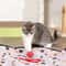 Interactive Double Layer Hunting Cover Toy For Cats And Dogs 4