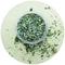 Organic Catnip Interactive Toy For Playful Happy Cats 3