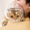 Breathable Cat Grooming Helmet Mask For Bathing Nail Trimming 1