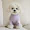 Cute Love Bear Winter Pet Hoodie For Small Dogs Cats 9
