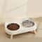 Elevated Stainless Steel Dual Pet Bowl With Anti Slip Neck Protection Design 1