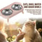 Elevated Stainless Steel Dual Pet Bowl With Anti Slip Neck Protection Design 4