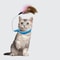 Interactive Feather Cat Collar Toy With Bell Self Entertainment Teaser For Indoor Cats 0