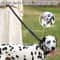 Reflective Tactical Bungee Dog Leash With Car Seatbelt Clip For Large Dogs 3